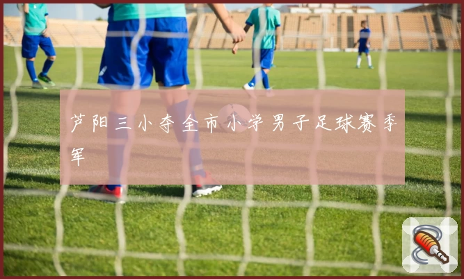 芦阳三小夺全市小学男子足球赛季军