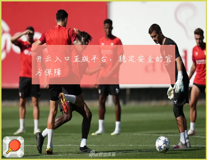 开云入口正版平台，稳定安全的官方保障