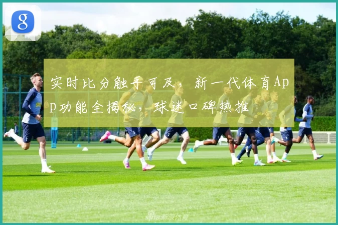 实时比分触手可及，新一代体育App功能全揭秘，球迷口碑热推