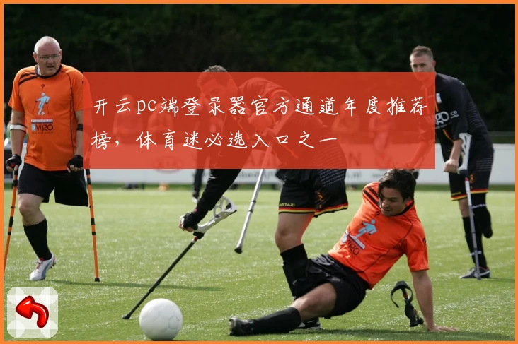 开云pc端登录器官方通道年度推荐榜，体育迷必选入口之一