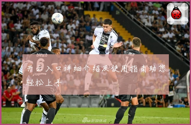 开云入口详细介绍及使用指南助您轻松上手