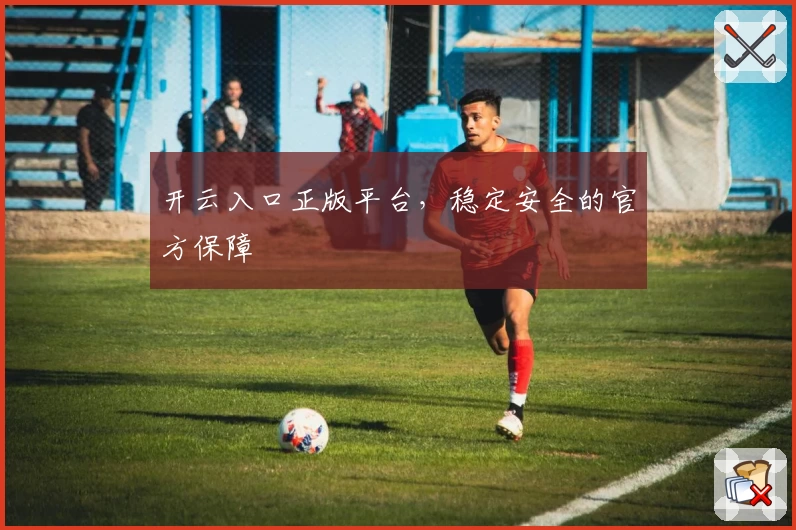 开云入口正版平台，稳定安全的官方保障